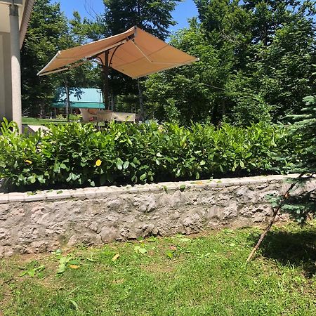Mountain House Ivanova Korita Цетине Екстериор снимка
